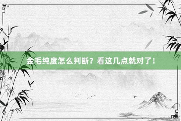 金毛纯度怎么判断？看这几点就对了！