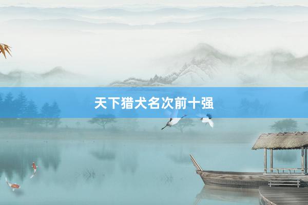 天下猎犬名次前十强